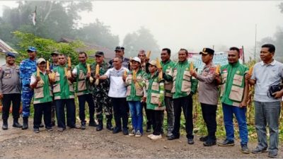 Panen Perdana Jagung Hibrida BUMDES Golo Kiong Damu, Bupati Mabar Dorong Warga Manfaatkan Lahan