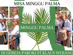 Lautan Umat Sambut Mgr. Maksimus Regus dalam Misa Minggu Palma di Paroki Santu Klaus Werang👇👇👇