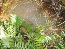Wae Bobok: Permata Tersembunyi di Golo Mbu yang Tak Hanya Cantik, Tapi Juga Sakti👇👇👇