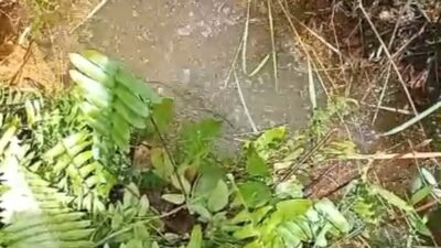 Wae Bobok: Permata Tersembunyi di Golo Mbu yang Tak Hanya Cantik, Tapi Juga Sakti👇👇👇